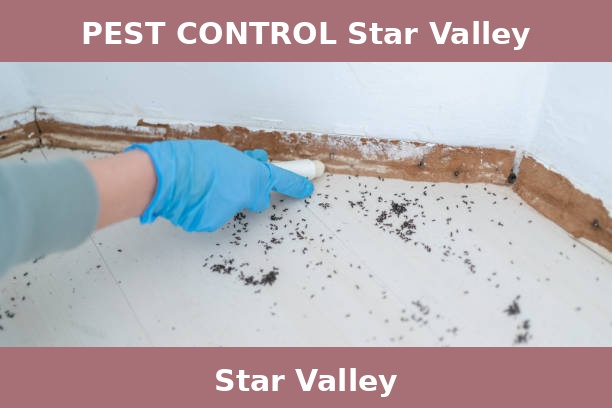 PEST CONTROL Star Valley
